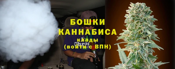 амф Верея