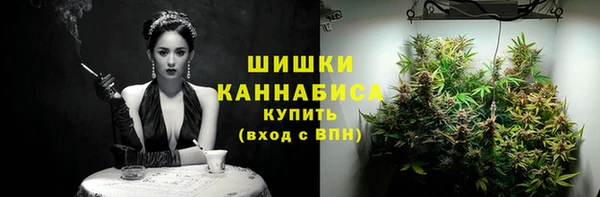 амф Верея
