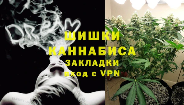 амф Верея