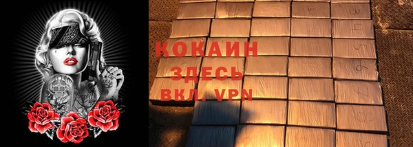 амф Верея