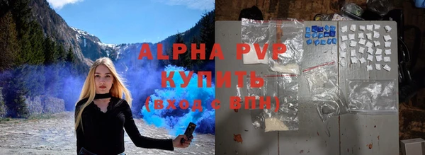 амф Верея