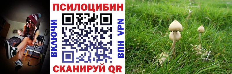 Галлюциногенные грибы прущие грибы Рыбинск