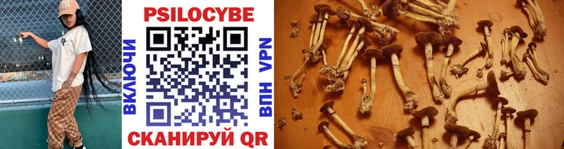 Галлюциногенные грибы Psilocybine cubensis  что такое наркотик  Рыбинск 